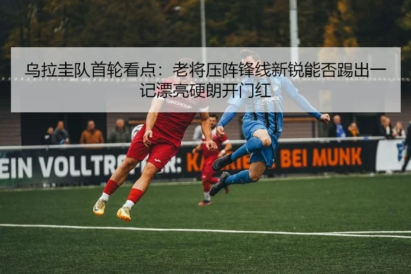 img_1781110811864_135_1_740.jpg